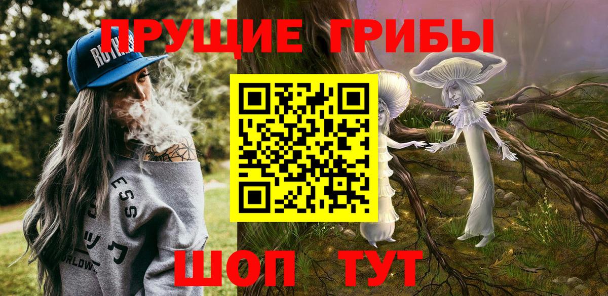Псилоцибиновые грибы Cubensis  Вход с VPN  Псилоцибиновые грибы MAGIC MUSHROOMS  Михайловка 