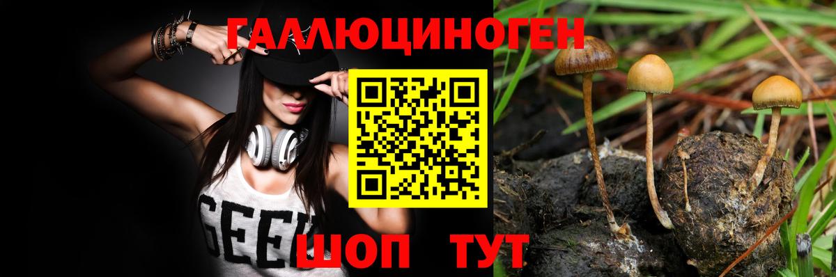Псилоцибиновые грибы Cubensis Михайловка